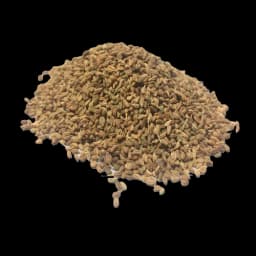 Ajwain