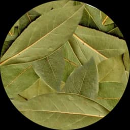 Bayleaf (Tajpatta)
