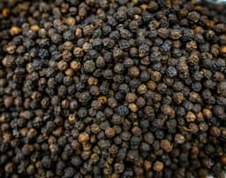 Mustard Seeds Black