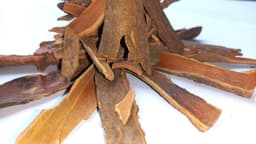 Cinnamon Bark