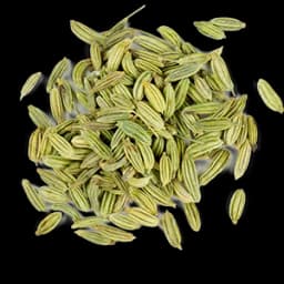 Fennel Seeds