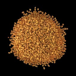 Fenugreek