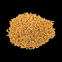 Mustard Seeds Yellow