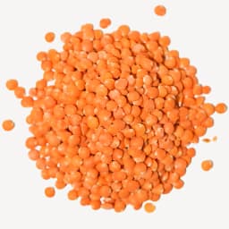 Red Lentil